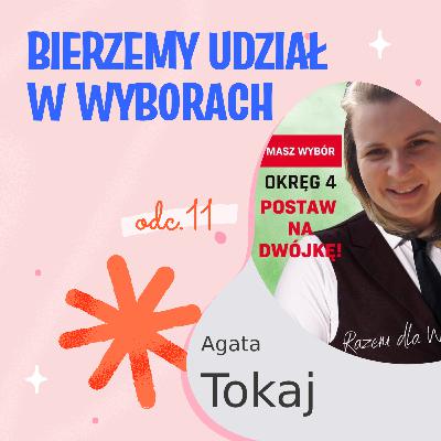 Bierzemy udział w wyborach