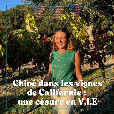 #17 Chloé dans les vignes de Californie : une césure en V.I.E