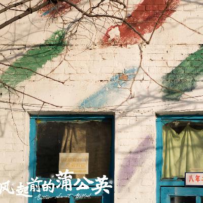 041-风起前的蒲公英：内卷时代还有不为功利的教育吗？