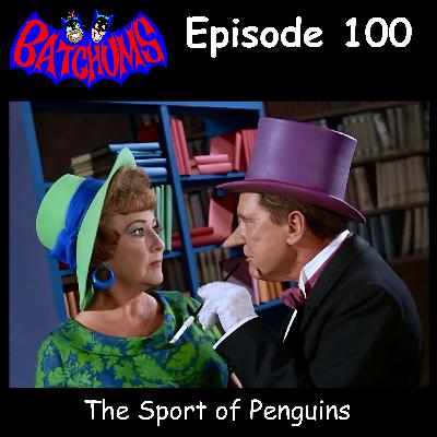 BatChums Episode 100 – The Sport of Penguins