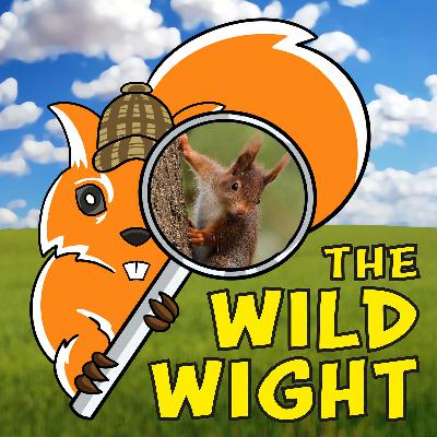 Red Squirrels & Woodland Habitats
