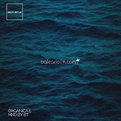 Organic Mix (005) (BigT)