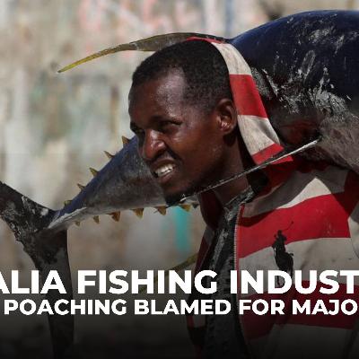 Somali fishermen struggle as trawlers drain millions from coastal waters