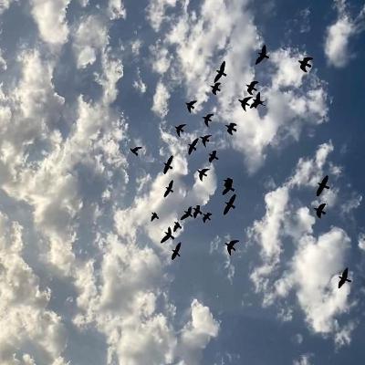 آخرش یک نفر از راه می‌رسد...