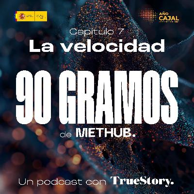 Episodio 7 - La velocidad