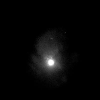 Being Practical and Being Stupid Being Practical and Being Stupid