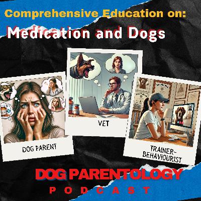 Comprehensive Education on Medication and Dogs