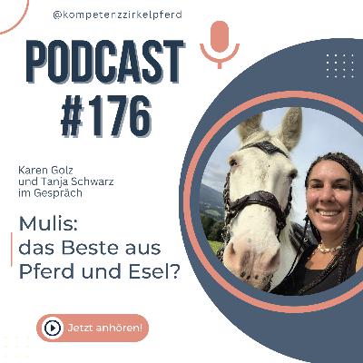 #176 Mulis - das Beste aus Pferd und Esel?