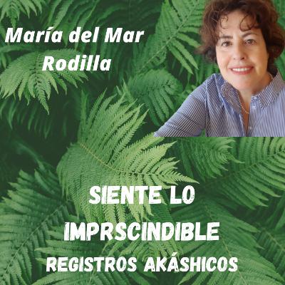 Siente lo Imprescindible Siente lo Imprescindible