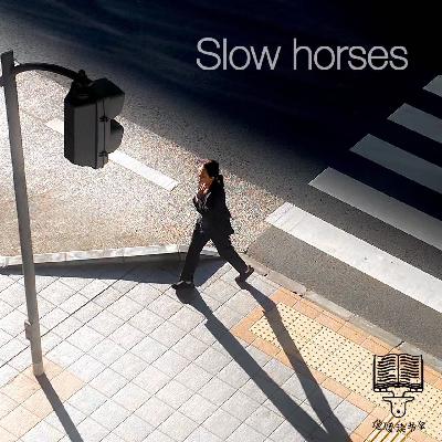 103集：问题特工的不普通日常|米克.赫伦《驽马》