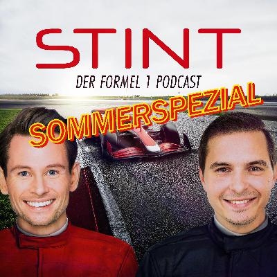 STINT Sommerspezial