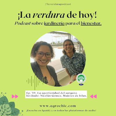 E. 39 - El sargazo se convierte en oportunidad