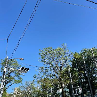 今日が最期の一日だとしたら？