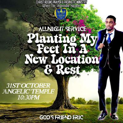 Planting My Feet In A New Location & Rest Planting My Feet In A New Location & Rest