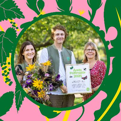19. Årets Pollinatör har skapat världens längsta blomsteräng