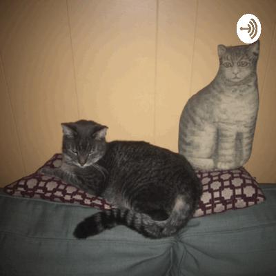 Podcast Introduction
