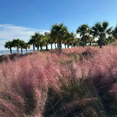 Against the Wind Against the Wind