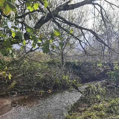 Sound Escape 250. Swollen by days of rain, the stream has a new song