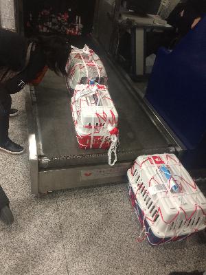 【闲话文学史】27、中国古代小说（一）