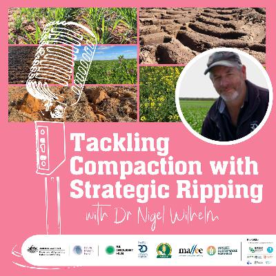 Tackling Compaction with Strategic Ripping Tackling Compaction with Strategic Ripping