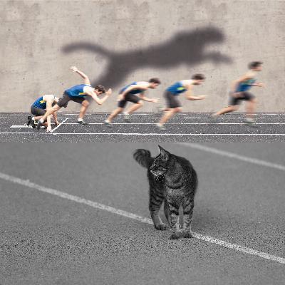 Comedy Cat podcast. Life with Bucky. This week: Olympic Slow-Walk Gold Medal Winners Benita Dawdling and Kitty Lollygag. Comedy Cat podcast. Life with Bucky. This week: Olympic Slow-Walk Gold Medal Winners Benita Dawdling and Kitty Lollygag.