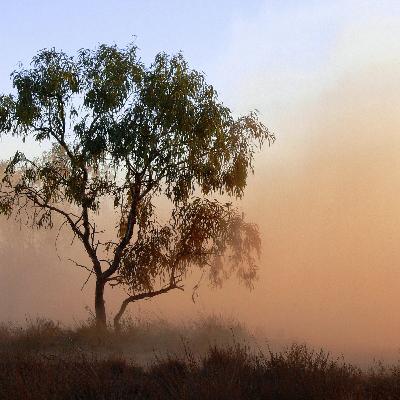 Transforming Northern Territory soil for farming