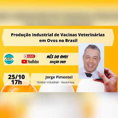 Produção Industrial de Vacinas Veterinárias em Ovos no Brasil | Jorge Pimentel - Mês do ovo
