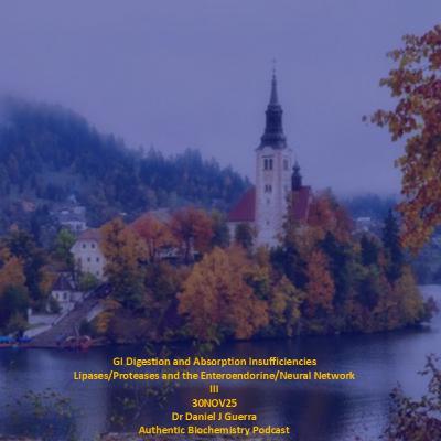 GI Digestion and Absorption Insufficiencies Lipases/Proeases and the Enteroendorine/Neural Network III 30NOV25 Dr Daniel J Guerra Authentic Biochemistry Podcast GI Digestion and Absorption Insufficiencies Lipases/Proeases and the Enteroendorine/Neural Network III 30NOV25 Dr Daniel J Guerra Authentic Biochemistry Podcast