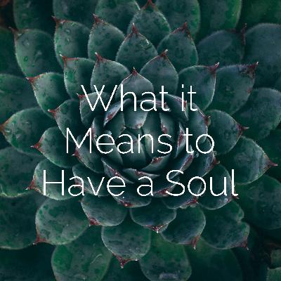 The soul as described by Aristotle, and then Descartes