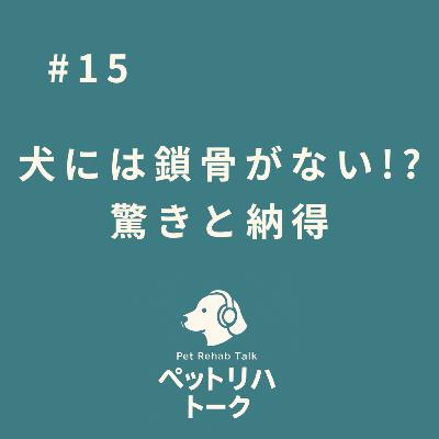 #15 犬には鎖骨がない！？ 理学療法士が驚いた「退化した骨の秘密」と、シニア犬の背中に現れるSOSのサイン