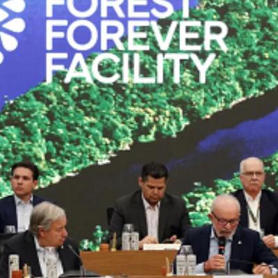 Painel JB 2ª Edição 06/11/2025 Painel JB 2ª Edição 06/11/2025