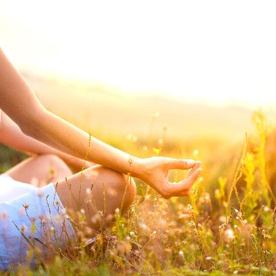 WISSEN: Meditation #2