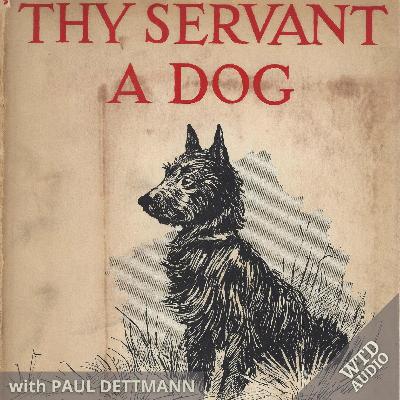 Thy Servant A Dog by Rudyard Kipling
