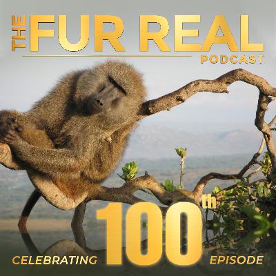 "BABOONS...POLITICS IN THE WILD" with Dr. Shirley Strum