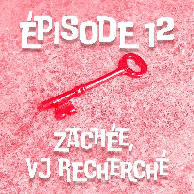 12. Zachée, VJ recherché 12. Zachée, VJ recherché