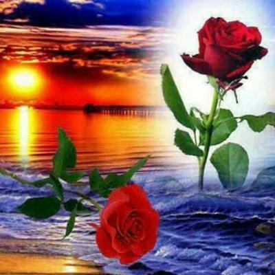 RESILIENCIA UDEEI 423