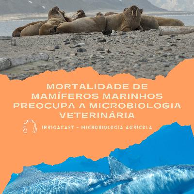 MicroCast 06 - Como a mortalidade massiva de mamíferos marinhos vem preocupando a microbiologia veterinária MicroCast 06 - Como a mortalidade massiva de mamíferos marinhos vem preocupando a microbiologia veterinária