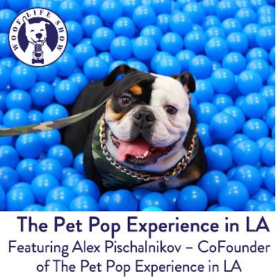 The Pet Pop Experience in LA - Featuring Alex Pischalnikov – CoFounder of The Pet Pop Experience in LA