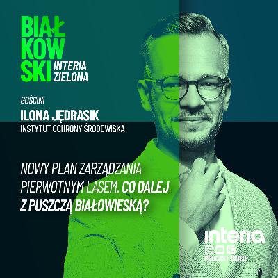 Puszcza Białowieska. Jest plan jej zarządzania na kolejne 25 lat
