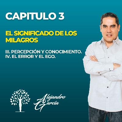 CAPÍTULO 3 - LA PERCEPCIÓN INOCENTE