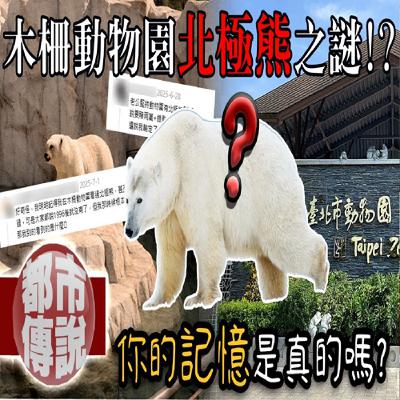 你也看過木柵動物園的北極熊嗎？！曼德拉效應竟讓台灣人都記憶錯亂！｜木柵動物園北極熊謎團｜下水道先生