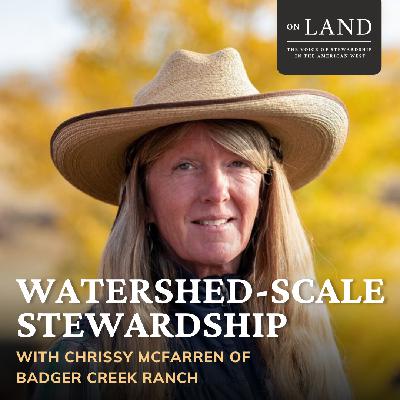 Watershed-Scale Stewardship with Chrissy McFarren of Badger Creek Ranch