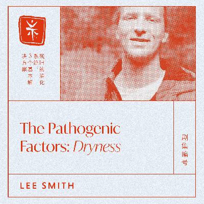 07: The Pathogenic Factors: Dryness, with TCM Dr. Lee Smith