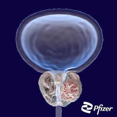 Livet med prostatakræft: Prostatakræft og livskvaliteten kan godt gå hånd i hånd