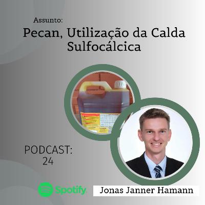 24 - Pecan, Utilização da Calda Sulfocálcica