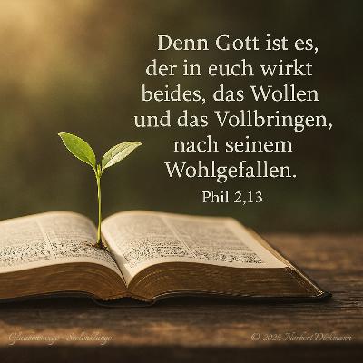 Philipper 2,13 – „Denn Gott ist’s, der in euch wirkt beides, das Wollen und das Vollbringen, nach seinem Wohlgefallen.“