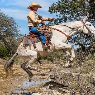 GARRISON MULEMANSHIP
