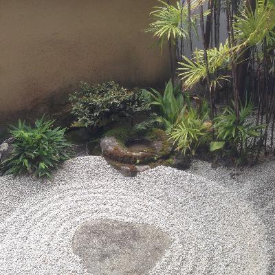 Quantum Physics, Buddhism, & Reality II