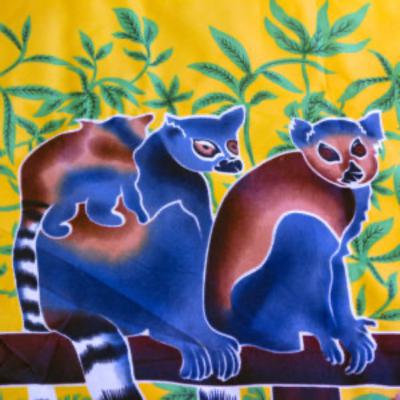 Madagascar Medley