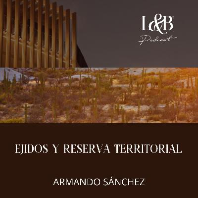 EJIDOS Y RESERVA TERRITORIAL
